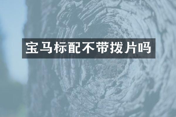 宝马标配不带拨片吗