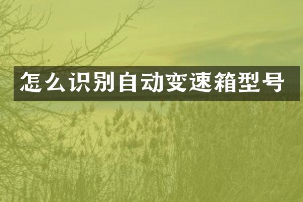 怎么识别自动变速箱型号