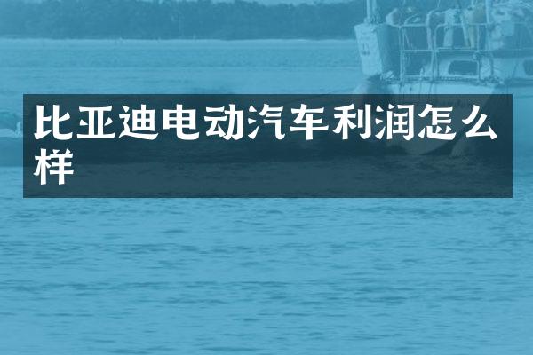 比亚迪电动汽车利润怎么样