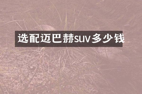 选配迈巴赫suv多少钱