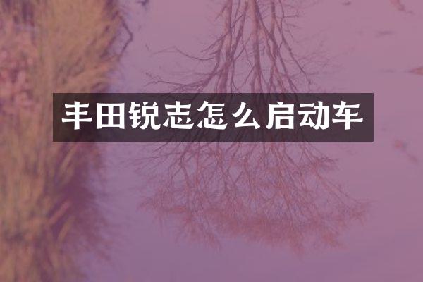 丰田锐志怎么启动车