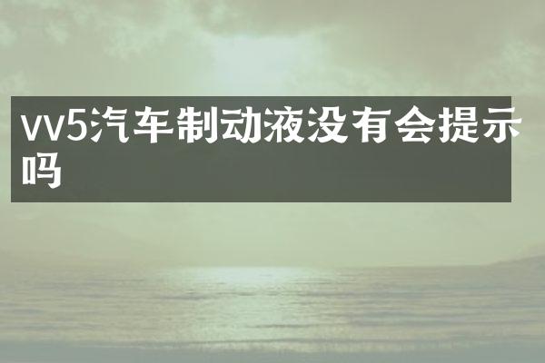 vv5汽车制动液没有会提示吗
