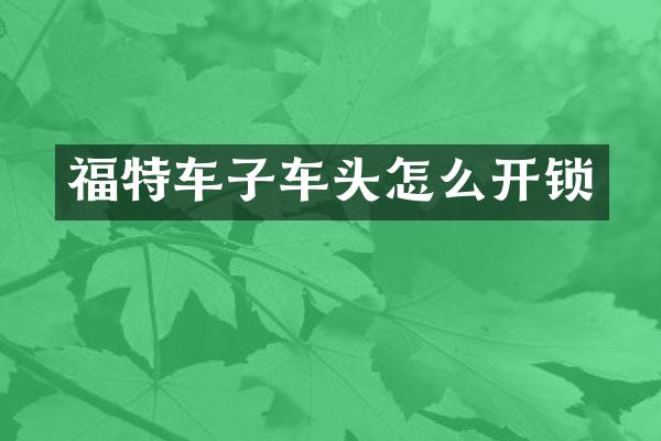 福特车子车头怎么开锁