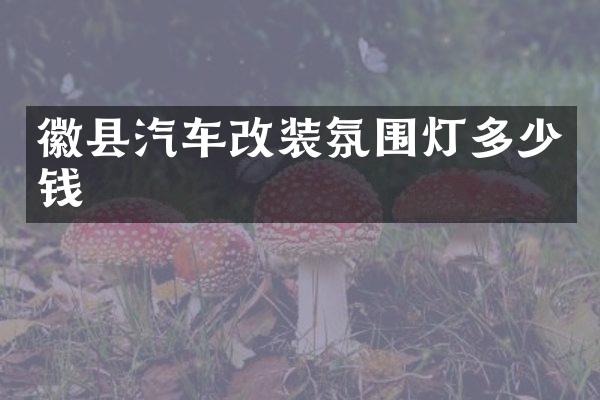 徽县汽车改装氛围灯多少钱