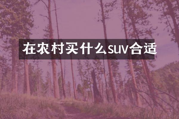 在农村suv合适