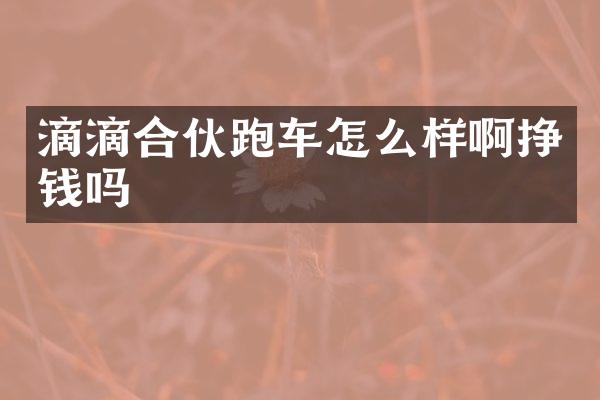 滴滴合伙跑车怎么样啊挣钱吗