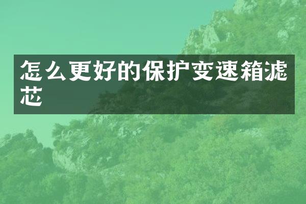 怎么更好的保护变速箱滤芯