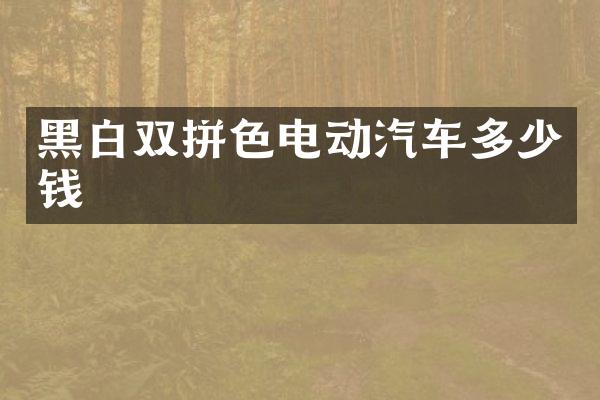 黑白双拼色电动汽车多少钱