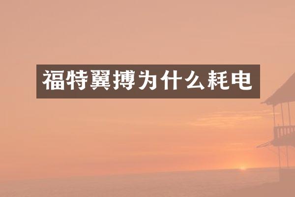 福特翼搏为什么耗电