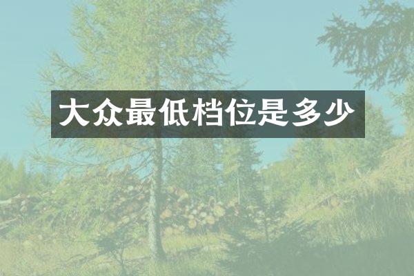 大众最低档位是多少