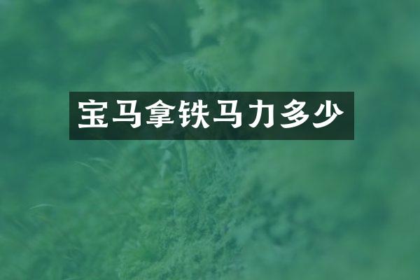 宝马拿铁马力多少