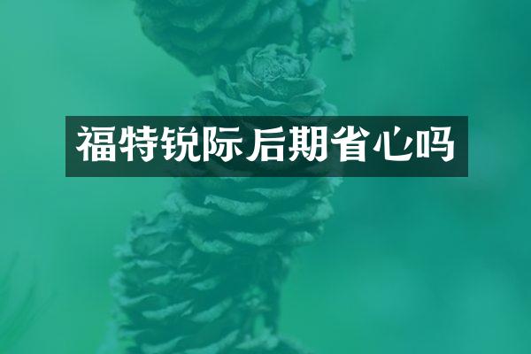 福特锐际后期省心吗