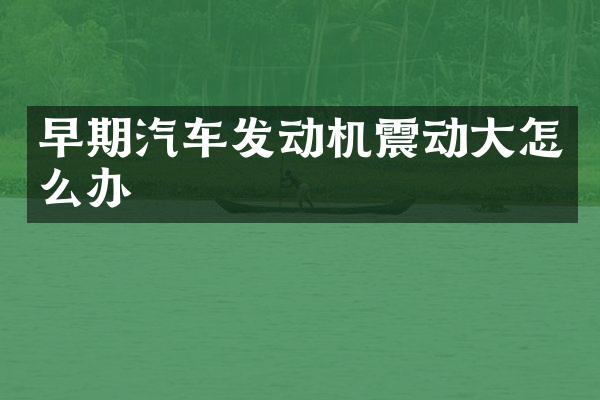 早期汽车发动机震动大怎么办