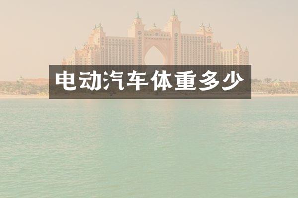 电动汽车体重多少