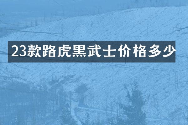 23款路虎黑武士价格多少