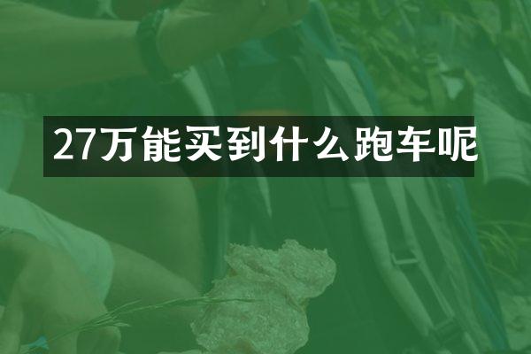 27万能买到什么跑车呢