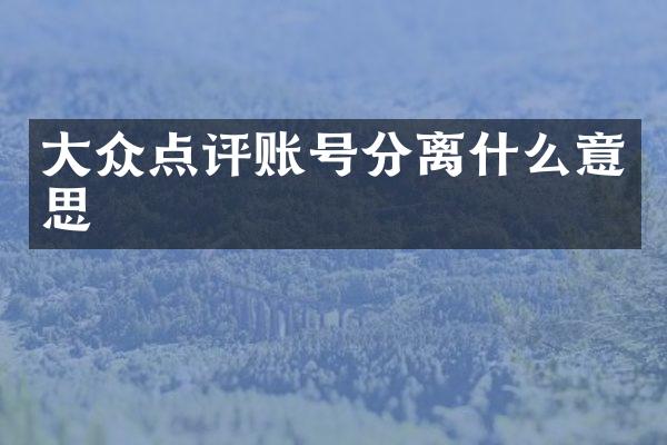 大众点评账号分离什么意思