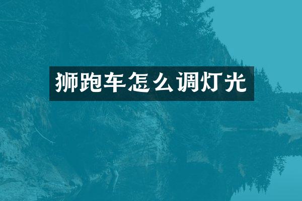 狮跑车怎么调灯光