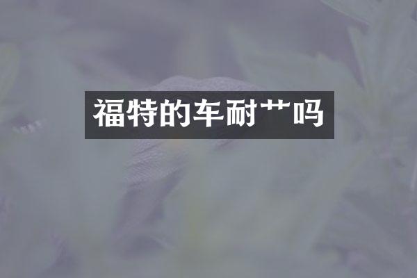 福特的车耐吗