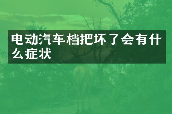 电动汽车档把坏了会有什么症状