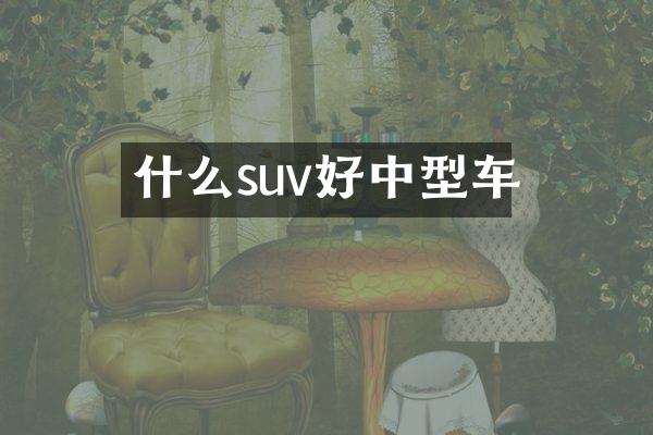 什么suv好中型车