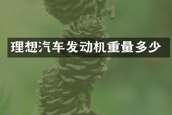 理想汽车发动机重量多少
