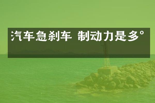 汽车急刹车 制动力是多少