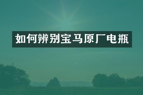 如何辨别宝马原厂电瓶