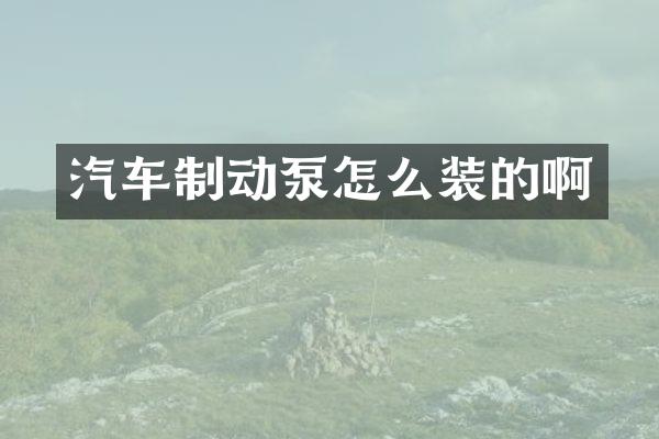 汽车制动泵怎么装的啊