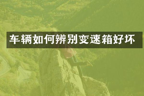 车辆如何辨别变速箱好坏