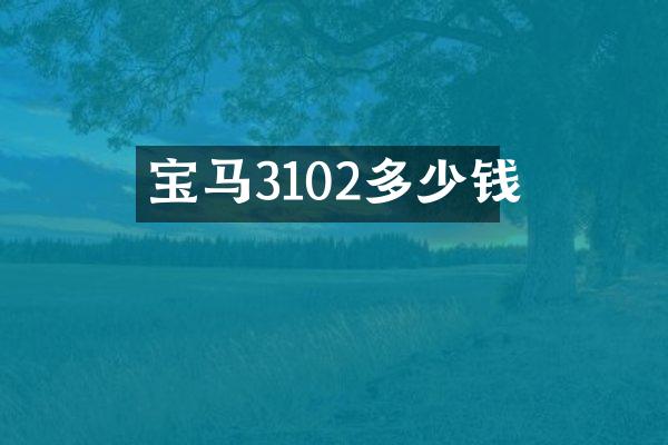 宝马3102多少钱