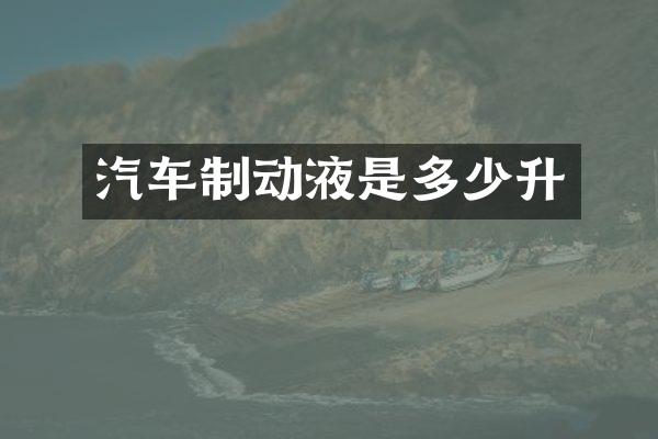 汽车制动液是多少升