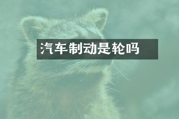 汽车制动是兩轮吗