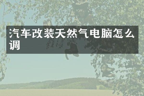 汽车改装天然气电脑怎么调