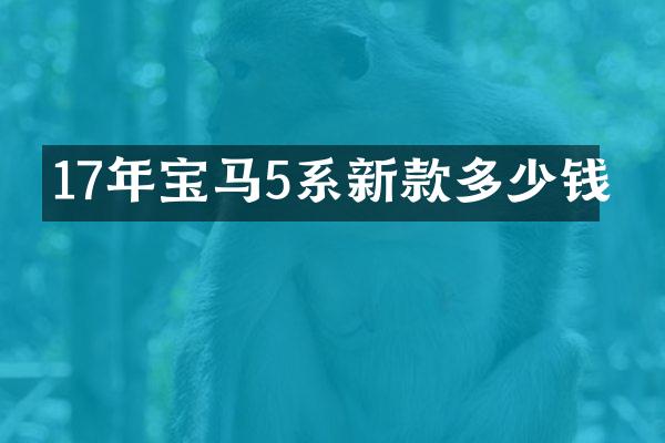 17年宝马5系新款多少钱