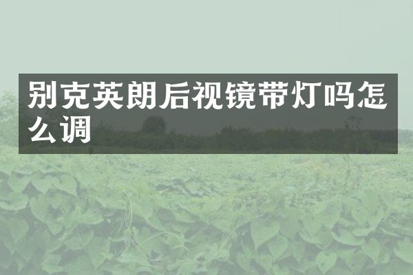 别克英朗后视镜带灯吗怎么调