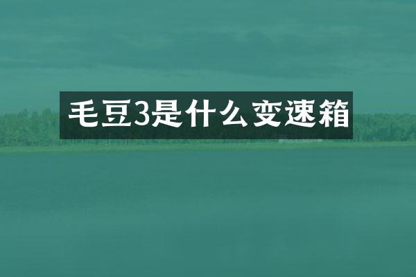 毛豆3是什么变速箱