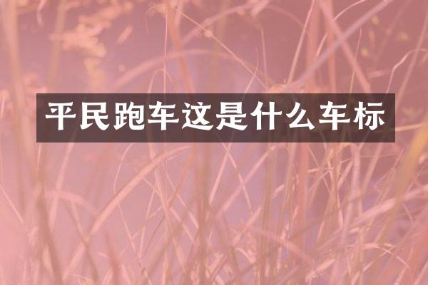 平民跑车这是什么车标