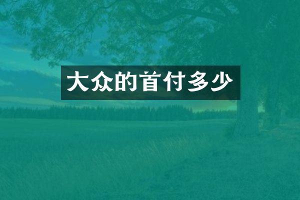 大众的首付多少