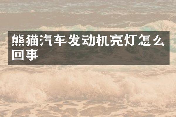 熊猫汽车发动机亮灯怎么回事