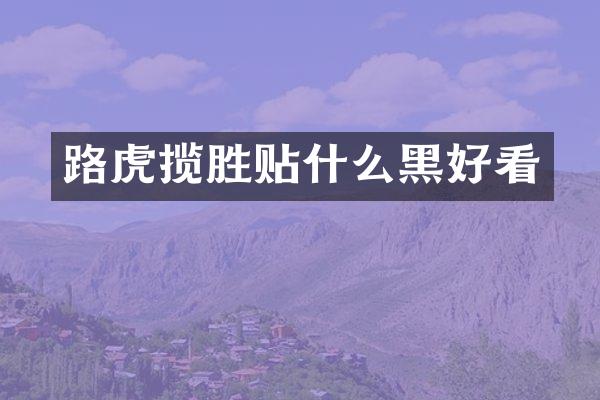 路虎揽胜贴什么黑好看