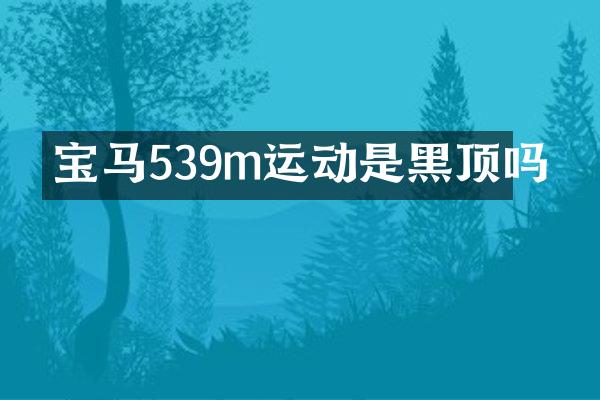 宝马539m运动是黑顶吗