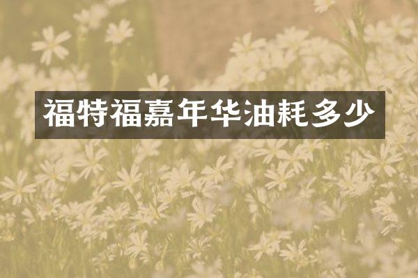 福特福嘉年华油耗多少
