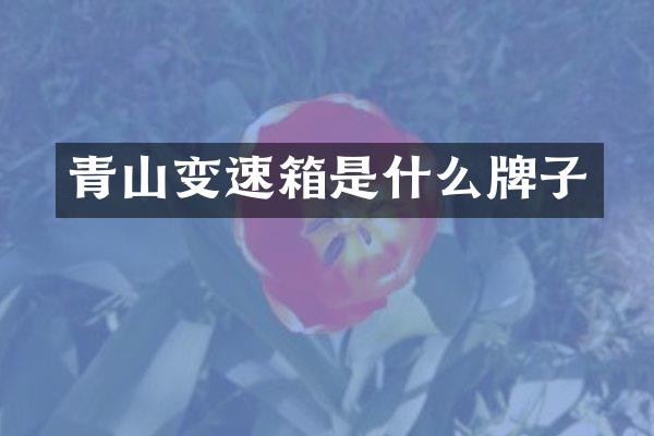 青山变速箱是什么牌子