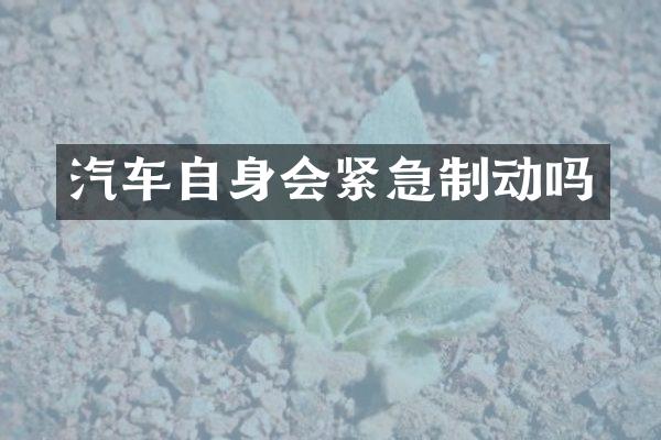 汽车自身会紧急制动吗