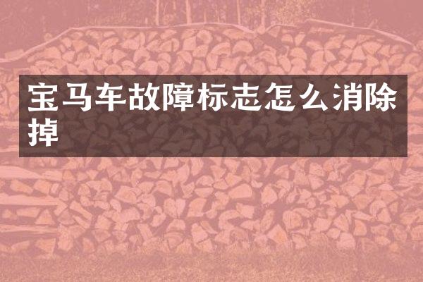 宝马车故障标志怎么消除掉