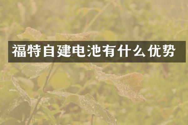 福特自建电池有什么优势