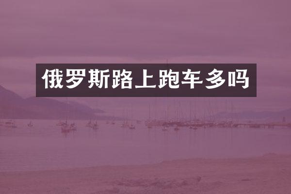 俄罗斯路上跑车多吗