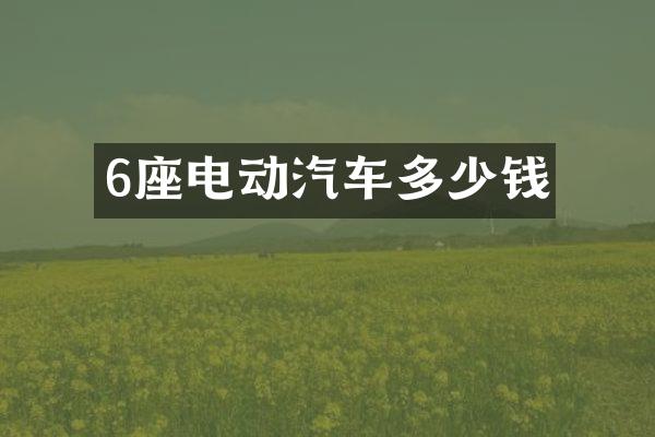 6座电动汽车多少钱