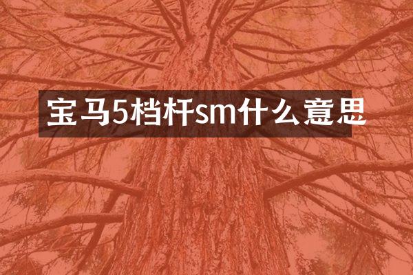 宝马5档杆sm什么意思